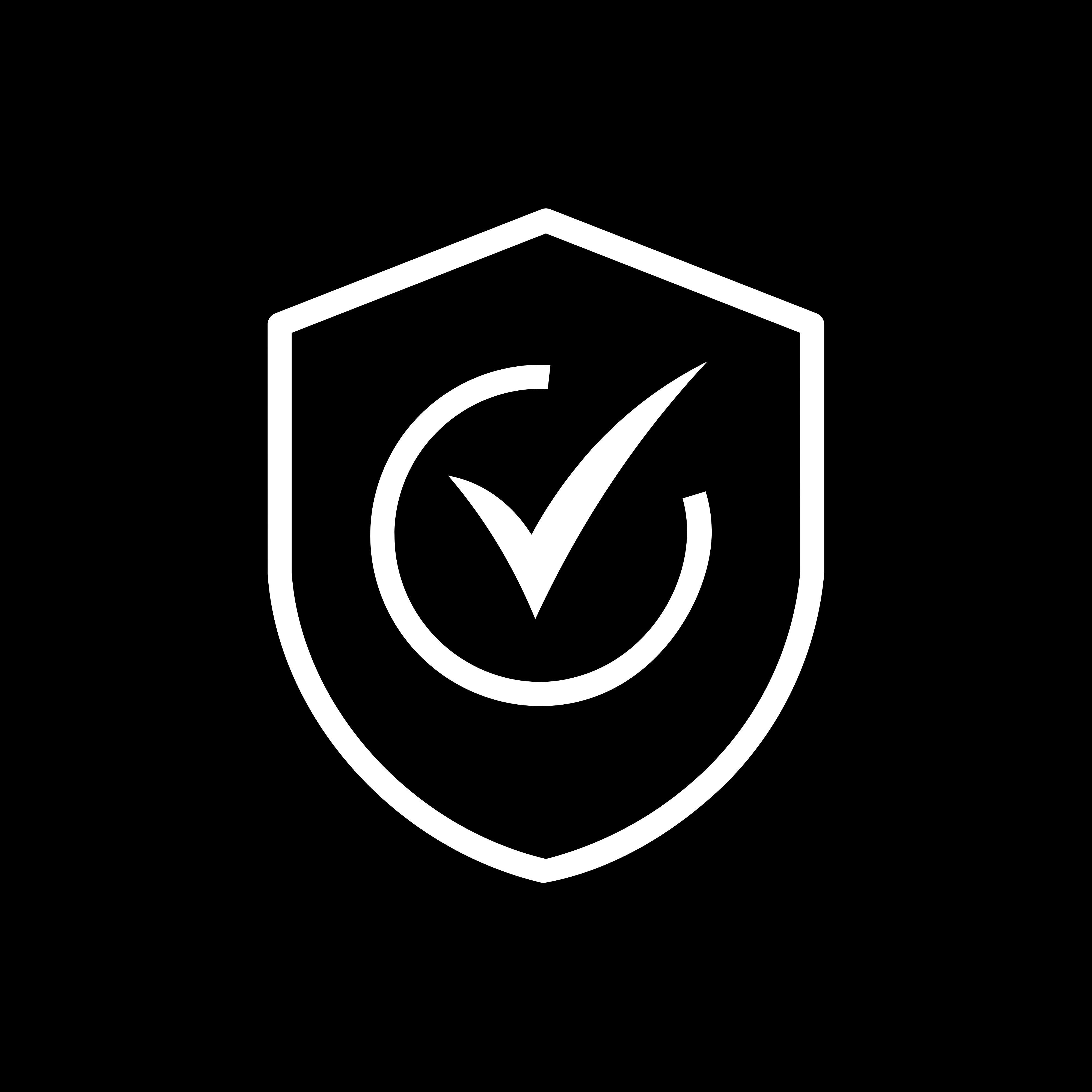 1-Year Protection Plan